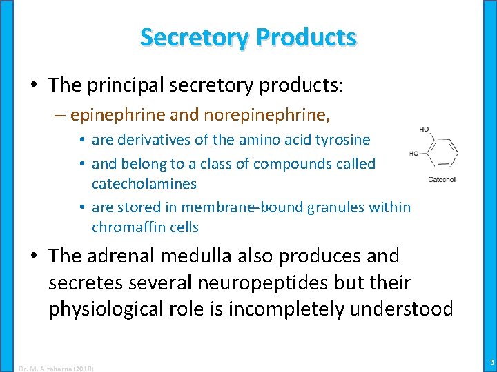 Secretory Products • The principal secretory products: – epinephrine and norepinephrine, • are derivatives