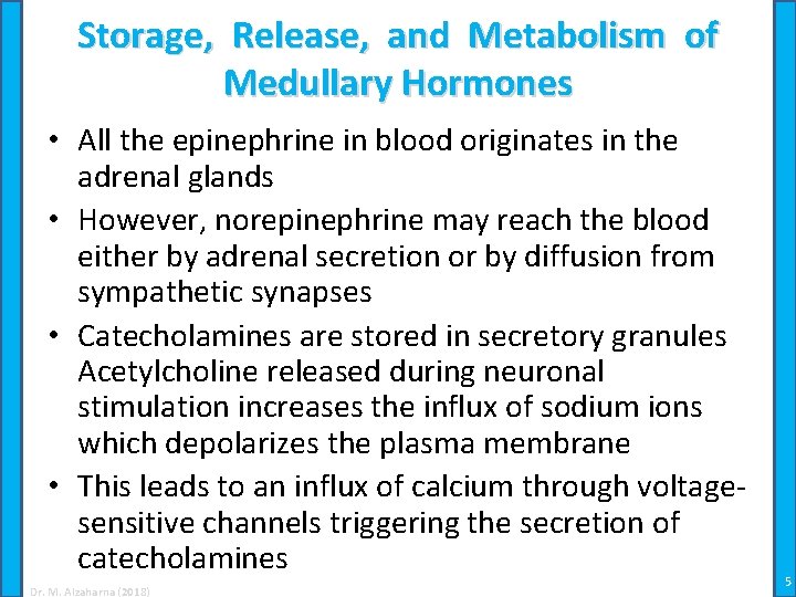 Storage, Release, and Metabolism of Medullary Hormones • All the epinephrine in blood originates