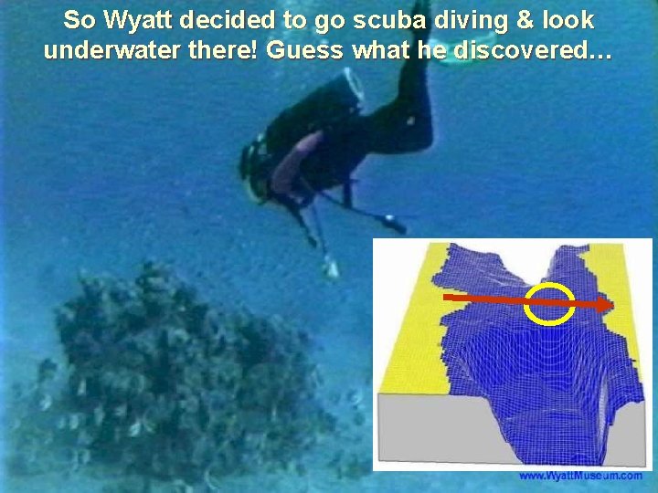 So Wyatt decided to go scuba diving & look underwater there! Guess what he