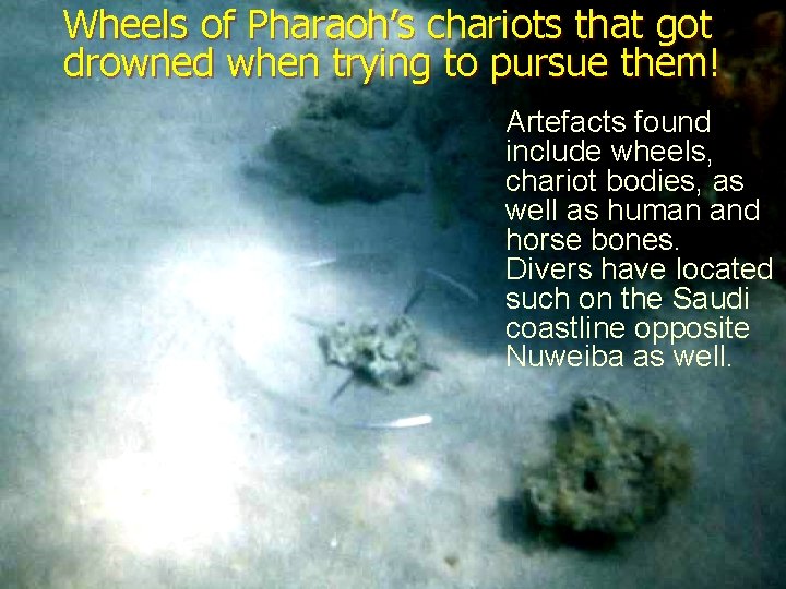 Wheels of Pharaoh’s chariots that got drowned when trying to pursue them! Artefacts found