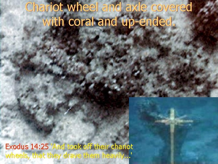 Chariot wheel and axle covered with coral and up-ended. Exodus 14: 25 'And took