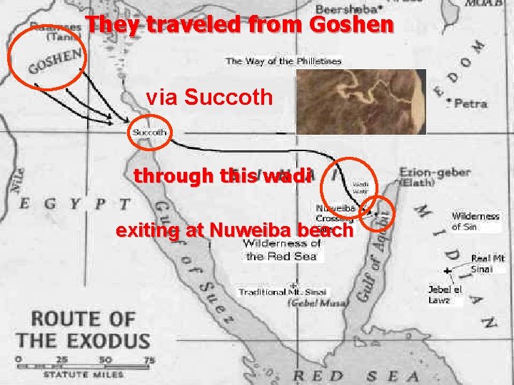 They traveled from Goshen via Succoth through this wadi exiting at Nuweiba beach 