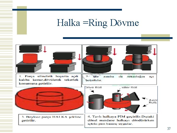 Halka =Ring Dövme 37 