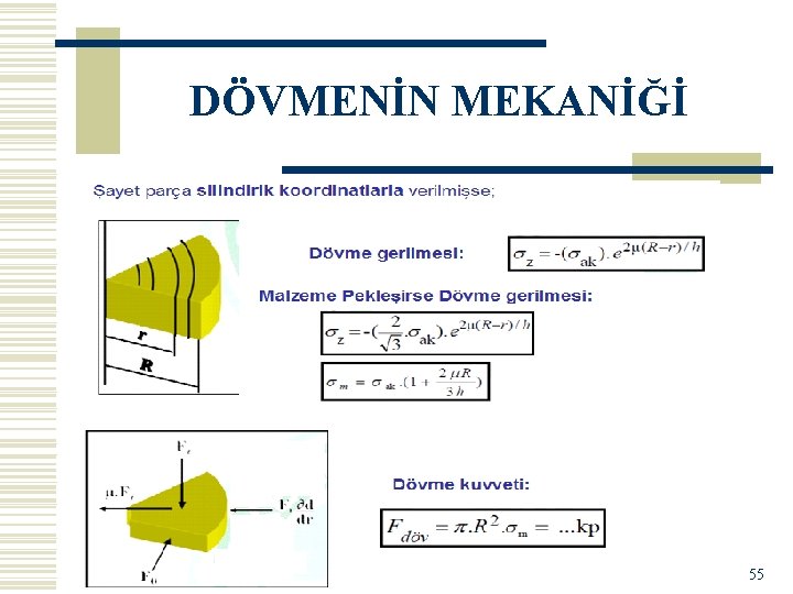 DÖVMENİN MEKANİĞİ 55 