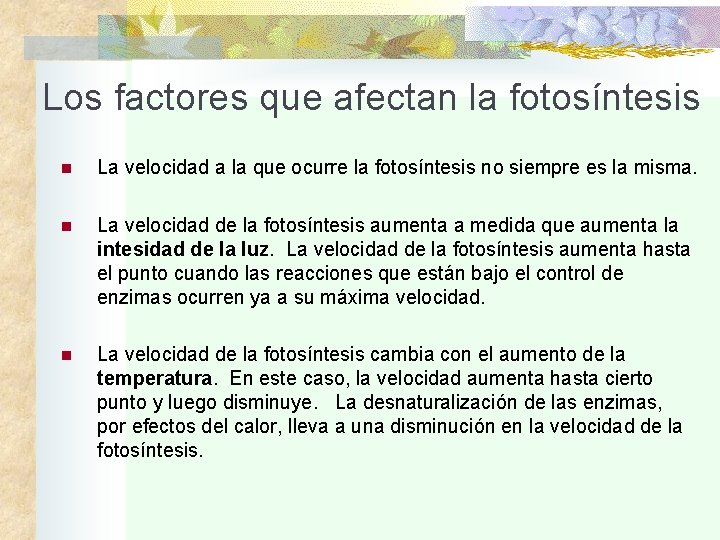 Los factores que afectan la fotosíntesis n La velocidad a la que ocurre la