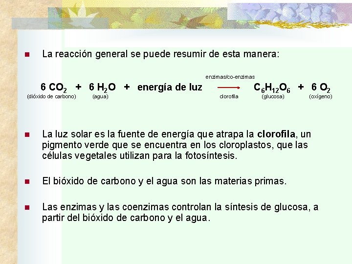 n La reacción general se puede resumir de esta manera: enzimas/co-enzimas 6 CO 2