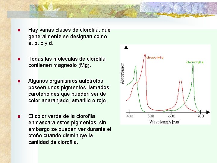 n Hay varias clases de clorofila, que generalmente se designan como a, b, c