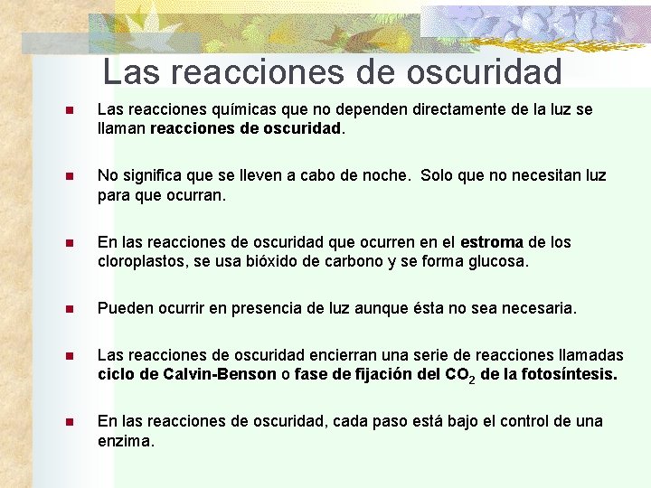 Las reacciones de oscuridad n Las reacciones químicas que no dependen directamente de la