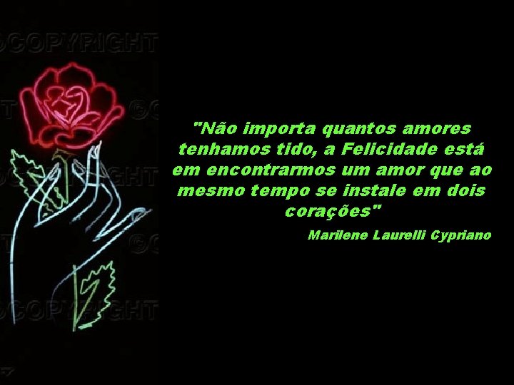 "Não importa quantos amores tenhamos tido, a Felicidade está em encontrarmos um amor que