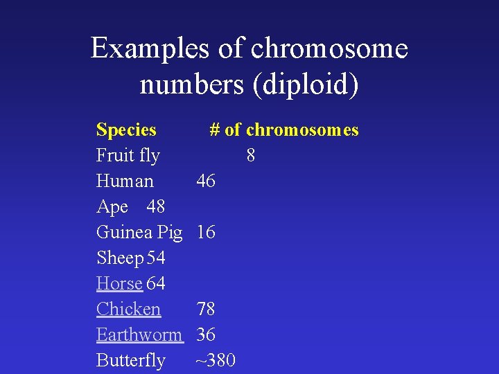 Examples of chromosome numbers (diploid) Species Fruit fly Human Ape 48 Guinea Pig Sheep Examples of chromosome numbers (diploid) Species Fruit fly Human Ape 48 Guinea Pig Sheep