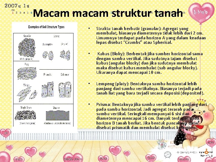 Macam macam struktur tanah • Struktu tanah berbutir (granular): Agregat yang membulat, biasanya diameternya