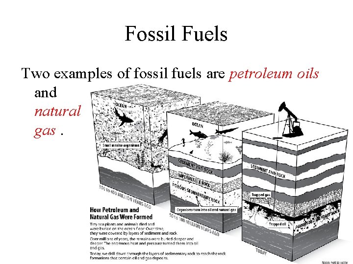 Fossil Fuels Two examples of fossil fuels are petroleum oils and natural gas. 