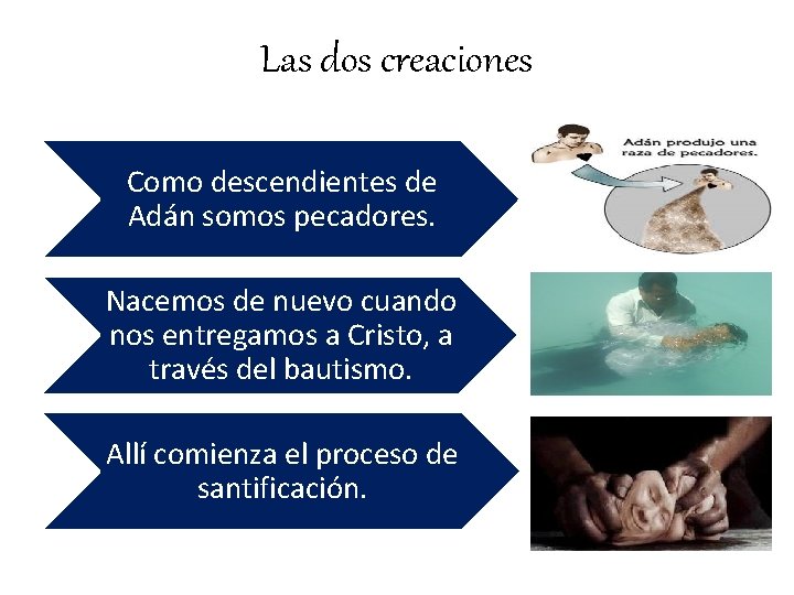 Las dos creaciones Como descendientes de Adán somos pecadores. Nacemos de nuevo cuando nos