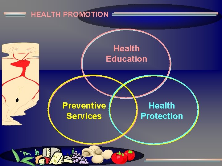 HEALTH PROMOTION Health Education Preventive Services Health Protection 