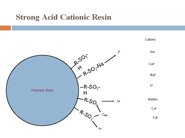 Strong Acid Cationic Resin Typical Cations + H 3 O -S R Na Ca