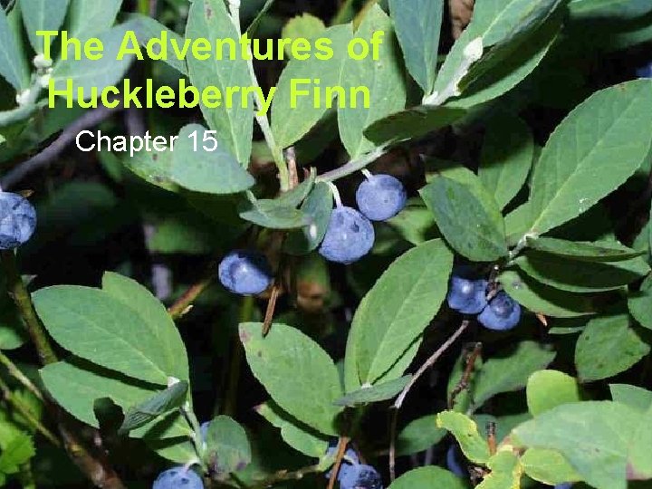 The Adventures of Huckleberry Finn Chapter 15 