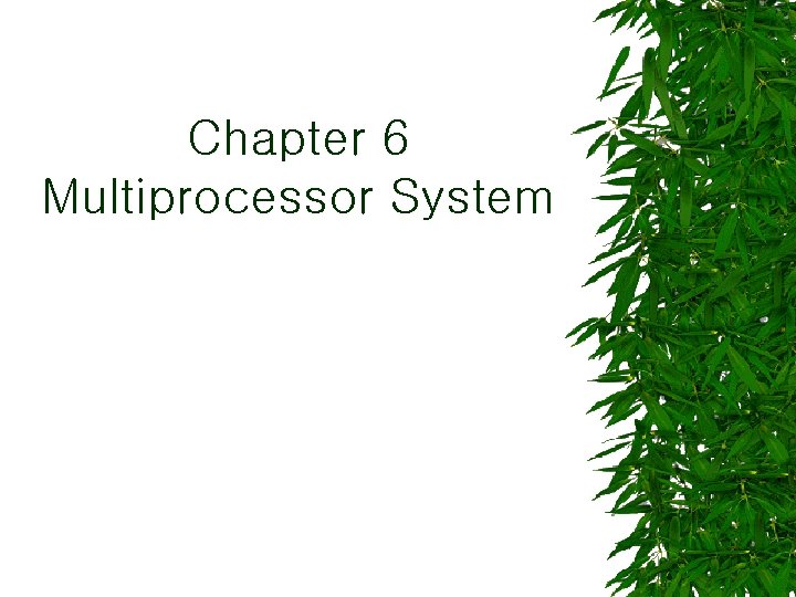 Chapter 6 Multiprocessor System 