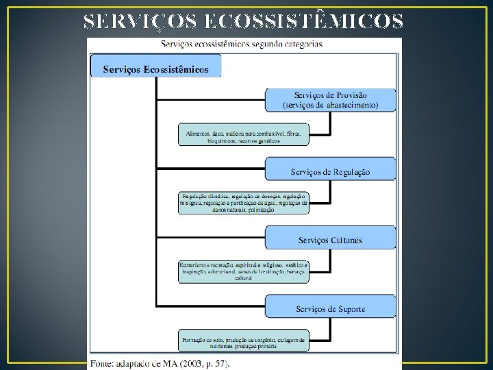 SERVIÇOS ECOSSISTÊMICOS 