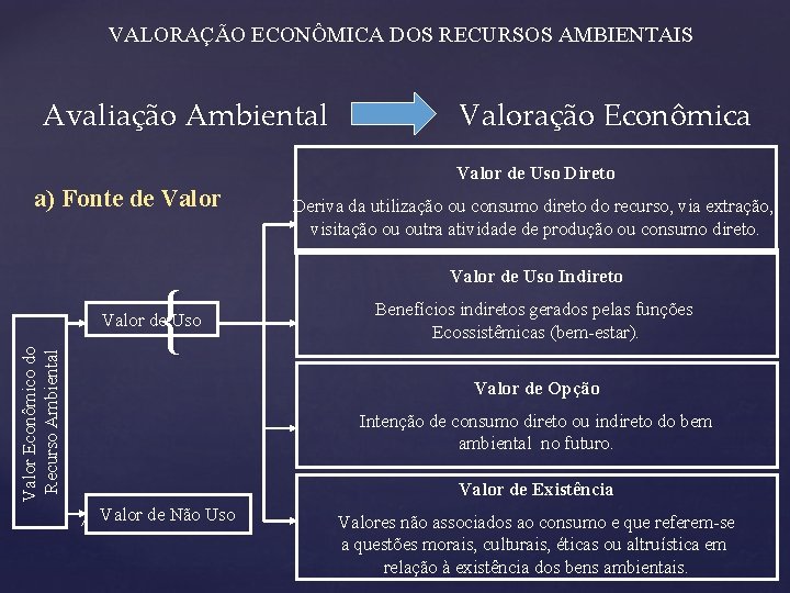 VALORAÇÃO ECONÔMICA DOS RECURSOS AMBIENTAIS Avaliação Ambiental Valoração Econômica Valor de Uso Direto a)