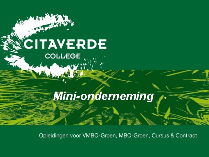 Mini-onderneming 