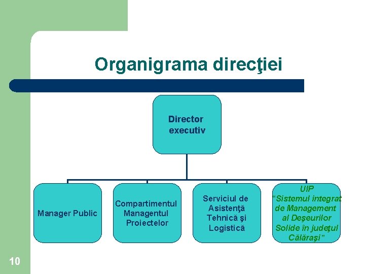 Organigrama direcţiei Director executiv Manager Public 10 Compartimentul Managentul Proiectelor Serviciul de Asistenţă Tehnică