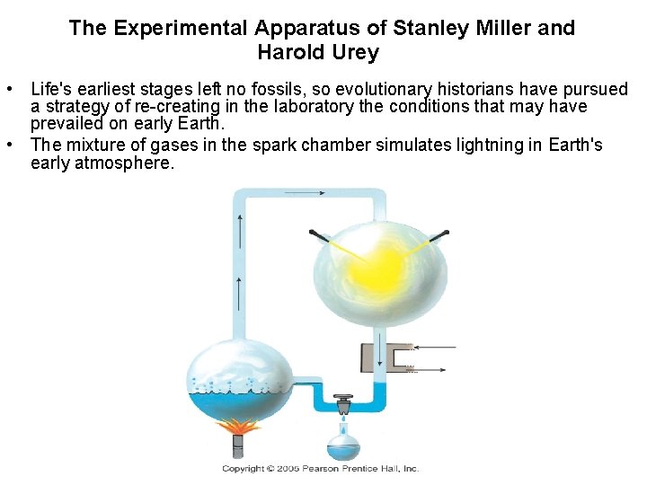 The Experimental Apparatus of Stanley Miller and Harold Urey • Life's earliest stages left