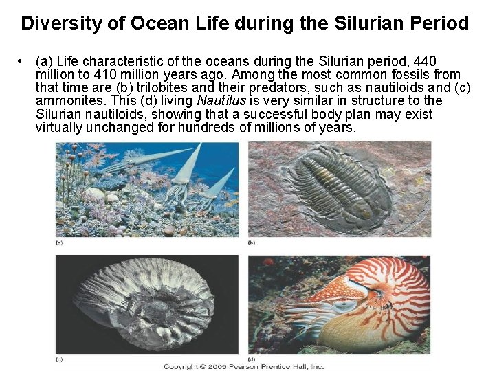 Diversity of Ocean Life during the Silurian Period • (a) Life characteristic of the