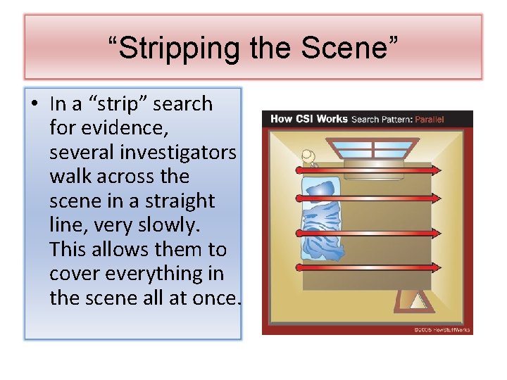 Strip Method Forensics The Crime Scene Jacob Fischler SBF 6 01