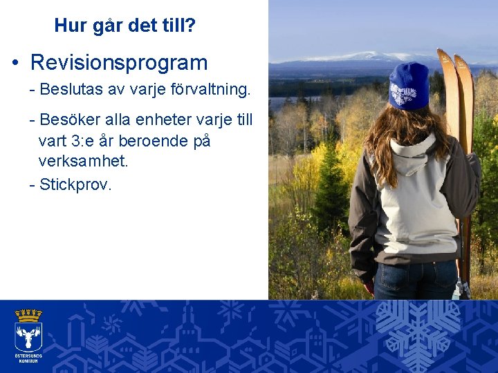 Hur går det till? • Revisionsprogram - Beslutas av varje förvaltning. - Besöker alla