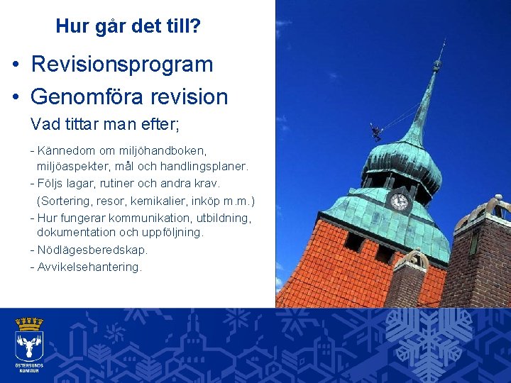 Hur går det till? • Revisionsprogram • Genomföra revision Vad tittar man efter; -