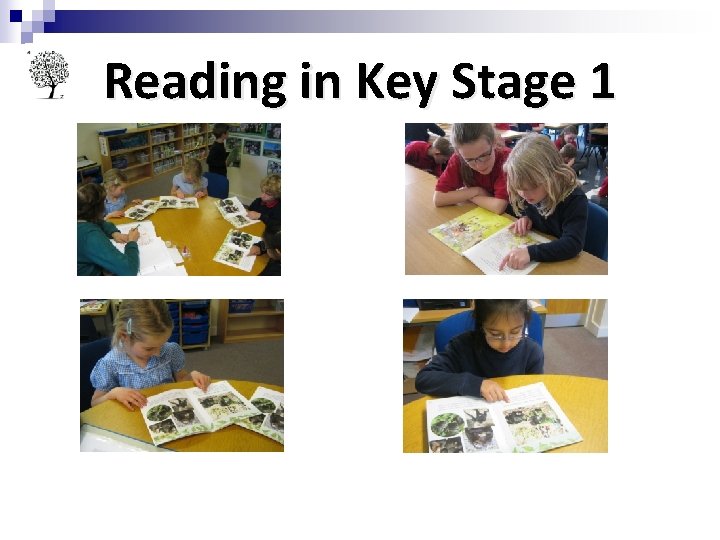 Reading in Key Stage 1 Reading in Key Stage 1