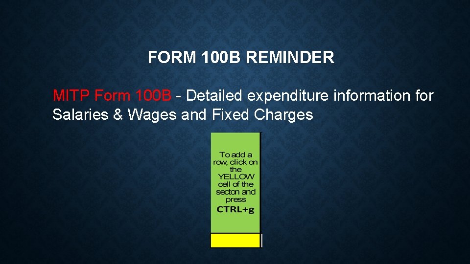 FORM 100 B REMINDER MITP Form 100 B - Detailed expenditure information for Salaries FORM 100 B REMINDER MITP Form 100 B - Detailed expenditure information for Salaries