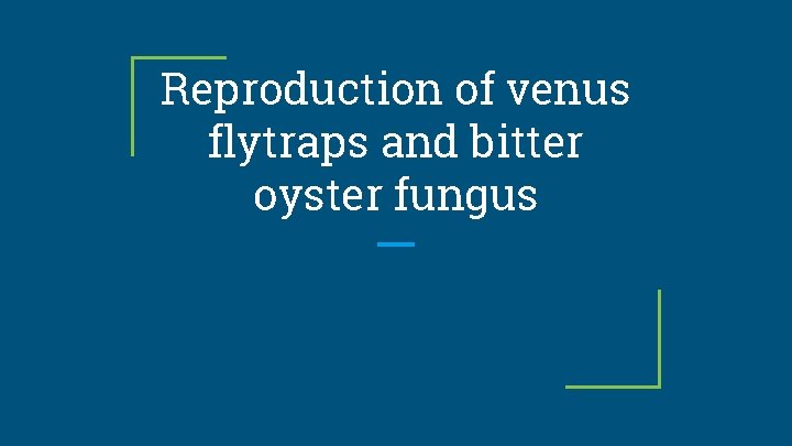 Reproduction of venus flytraps and bitter oyster fungus 