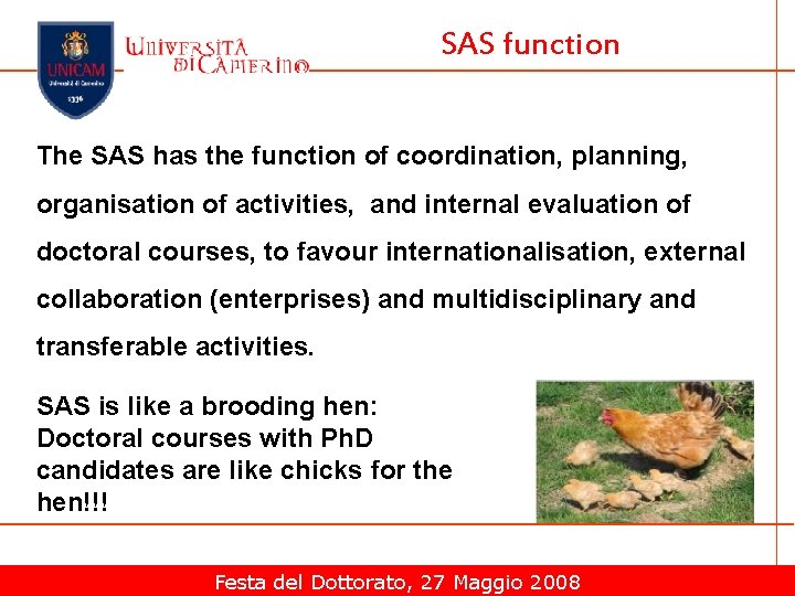 SAS function The SAS has the function of coordination, planning, organisation of activities, and