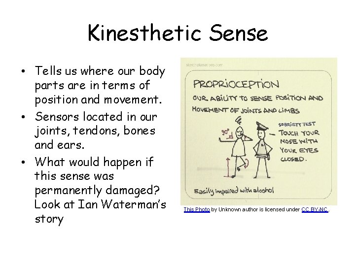 Kinesthetic Sense • Tells us where our body parts are in terms of position