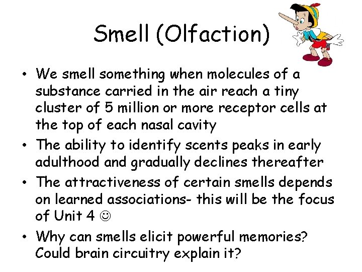 Smell (Olfaction) • We smell something when molecules of a substance carried in the