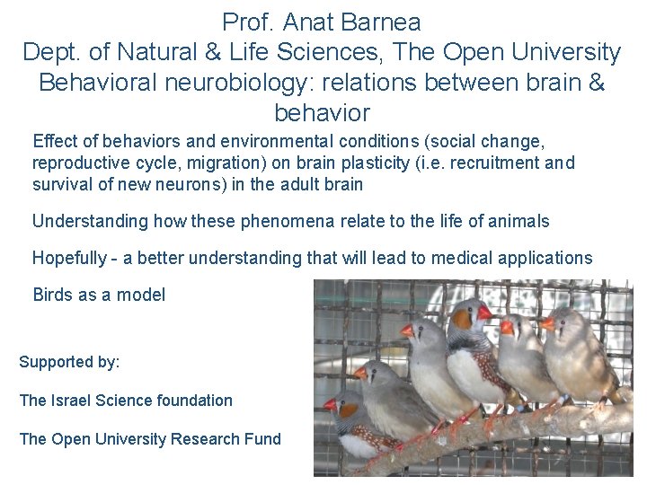 Prof. Anat Barnea Dept. of Natural & Life Sciences, The Open University Behavioral neurobiology: