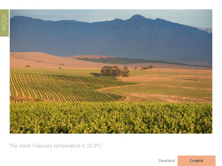 The mean February temperature is 23. 3⁰C. Swartland Coastal 