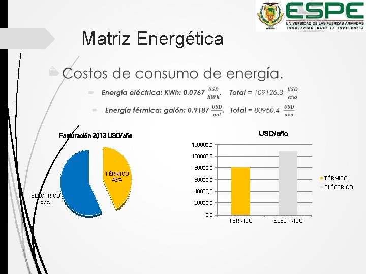 Matriz Energética USD/año Facturación 2013 USD/año 120000, 0 100000, 0 TÉRMICO 43% ELÉCTRICO 57%