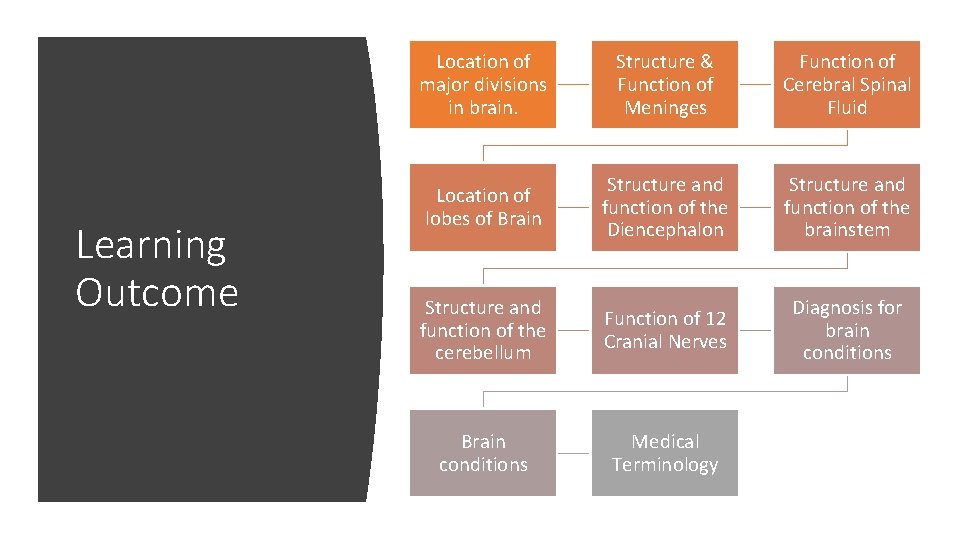 Learning Outcome Location of major divisions in brain. Structure & Function of Meninges Function Learning Outcome Location of major divisions in brain. Structure & Function of Meninges Function