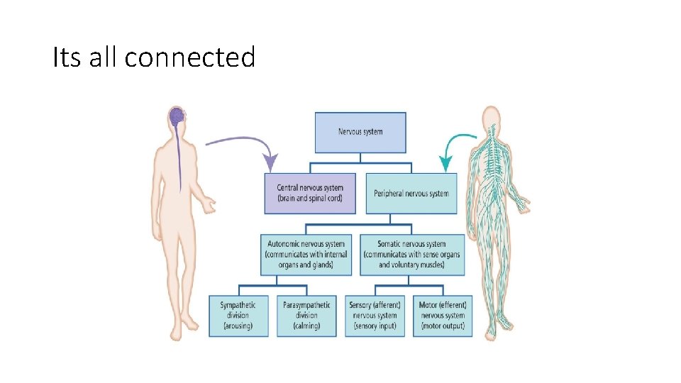 Its all connected Its all connected