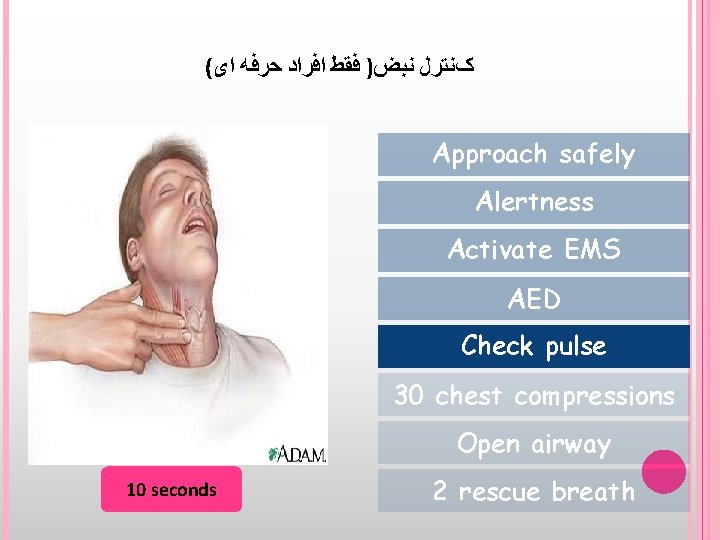 ( کﻨﺘﺮﻝ ﻧﺒﺾ) ﻓﻘﻂ ﺍﻓﺮﺍﺩ ﺣﺮﻓﻪ ﺍی Approach safely Alertness Activate EMS AED Check