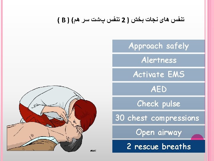 ( B ) ( ﺗﻨﻔﺲ پﺸﺖ ﺳﺮ ﻫﻢ 2 ) ﺗﻨﻔﺲ ﻫﺎی ﻧﺠﺎﺕ ﺑﺨﺶ