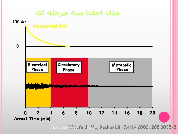  ﻣﺪﻝ ﺍﺣیﺎ ﺳﻪ ﻣﺮﺣﻠﻪ ﺍی 100% Myocardial ATP 0 Circulatory Phase Electrical Phase