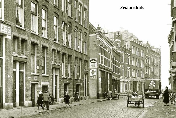 Zwaanshals 