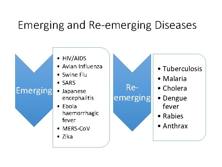 Emerging and Re-emerging Diseases Emerging • • • HIV/AIDS Avian Influenza Swine Flu SARS