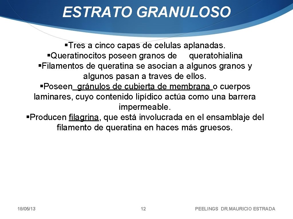 ESTRATO GRANULOSO §Tres a cinco capas de celulas aplanadas. §Queratinocitos poseen granos de queratohialina