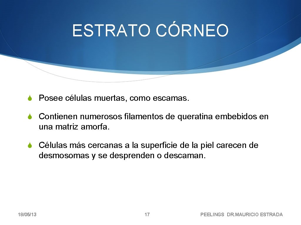 ESTRATO CÓRNEO S Posee células muertas, como escamas. S Contienen numerosos filamentos de queratina