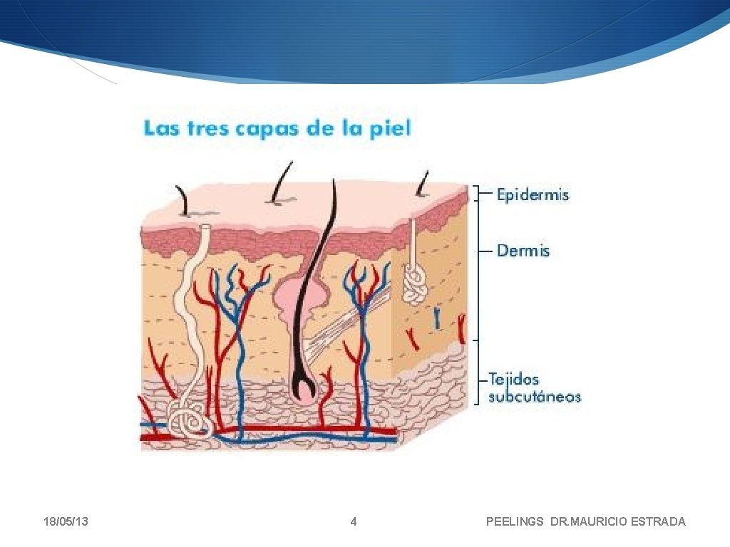 18/05/13 4 PEELINGS DR. MAURICIO ESTRADA 