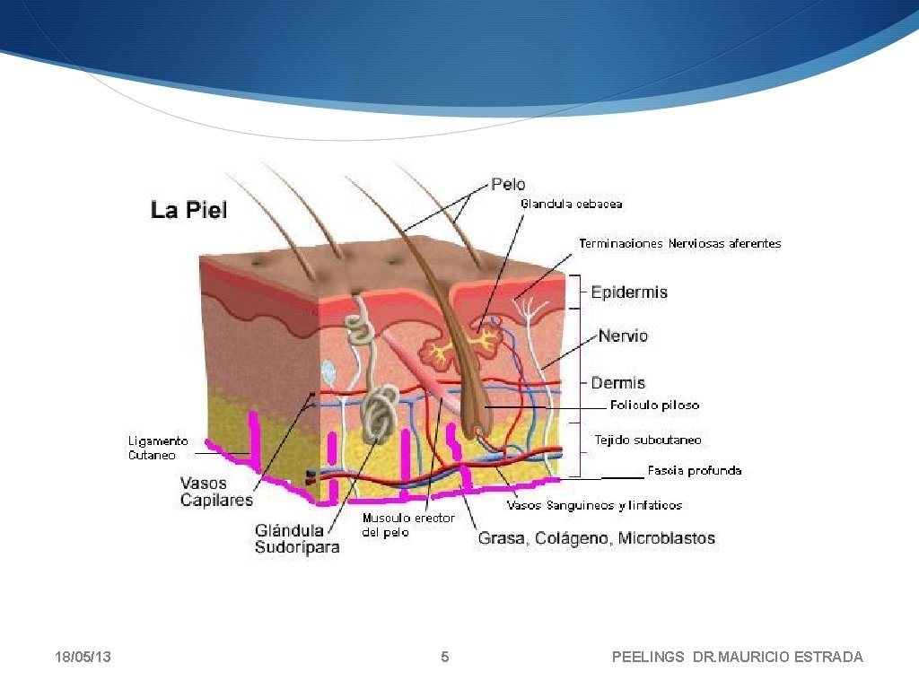 18/05/13 5 PEELINGS DR. MAURICIO ESTRADA 